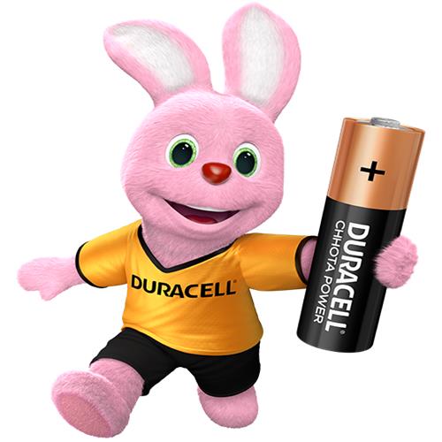 DURACELL AAA(CHHOTA POWER)